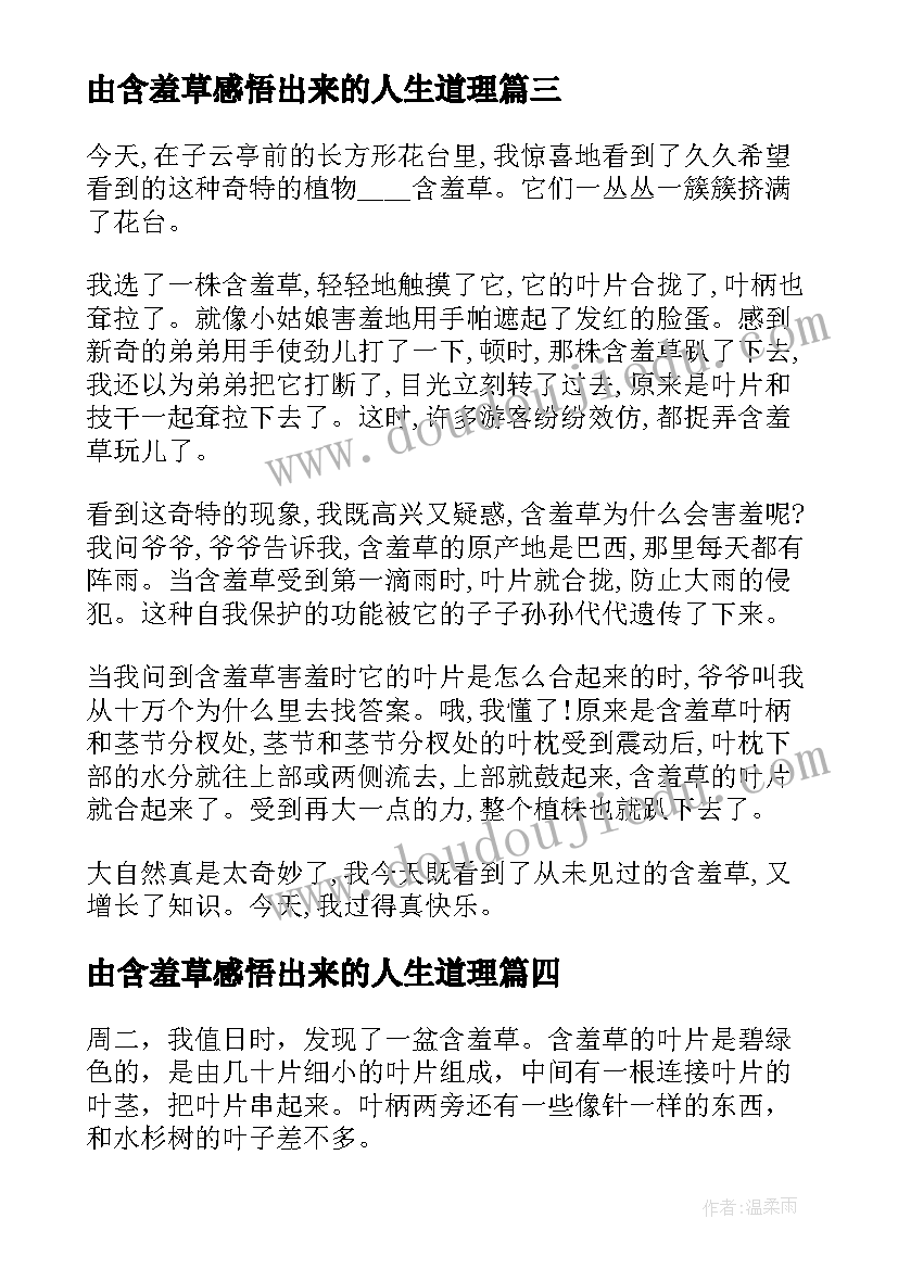 由含羞草感悟出来的人生道理(汇总10篇)