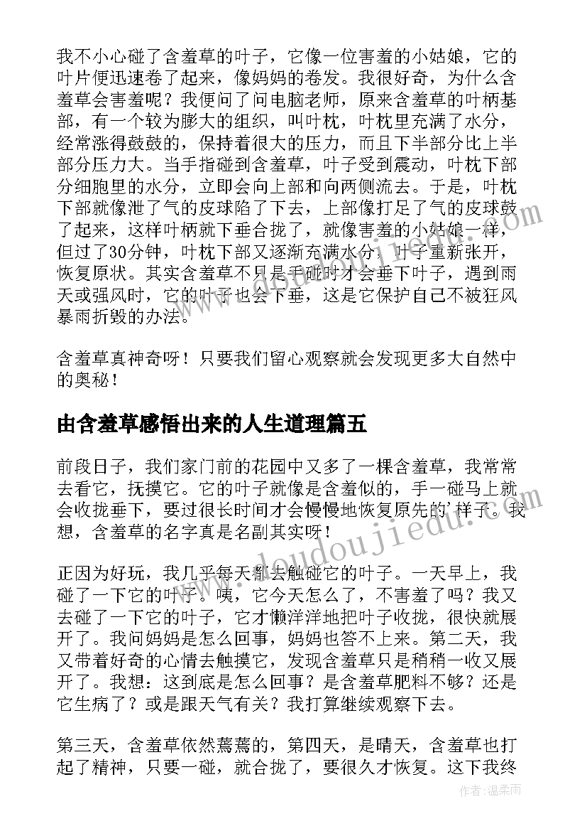 由含羞草感悟出来的人生道理(汇总10篇)