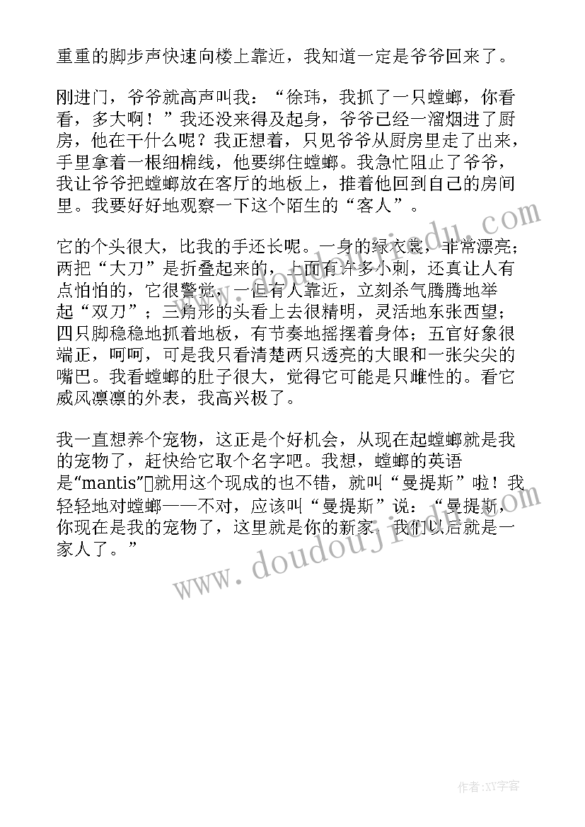 螳螂观察日记 观察螳螂螳螂记(优质8篇)