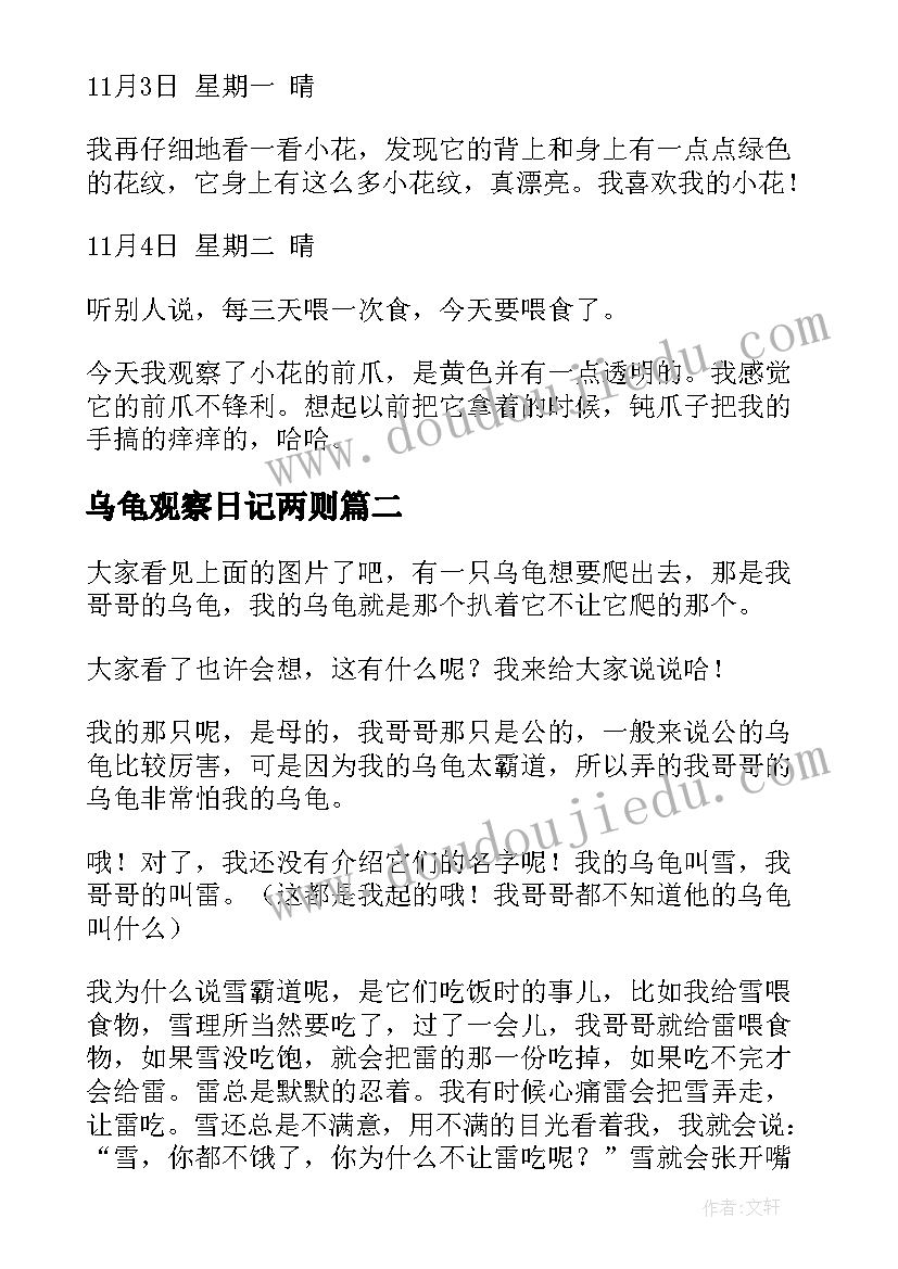 2023年乌龟观察日记两则 乌龟观察日记(优质13篇)