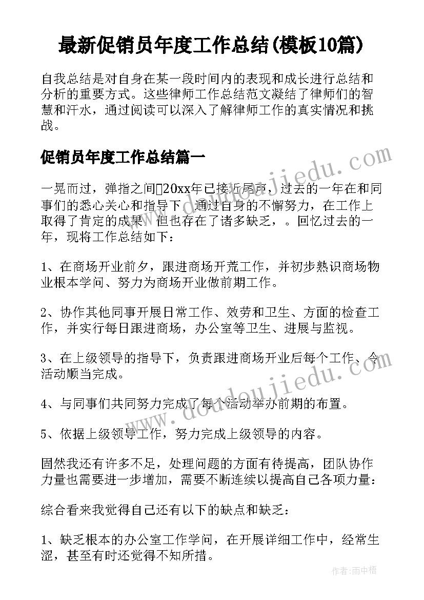 最新促销员年度工作总结(模板10篇)