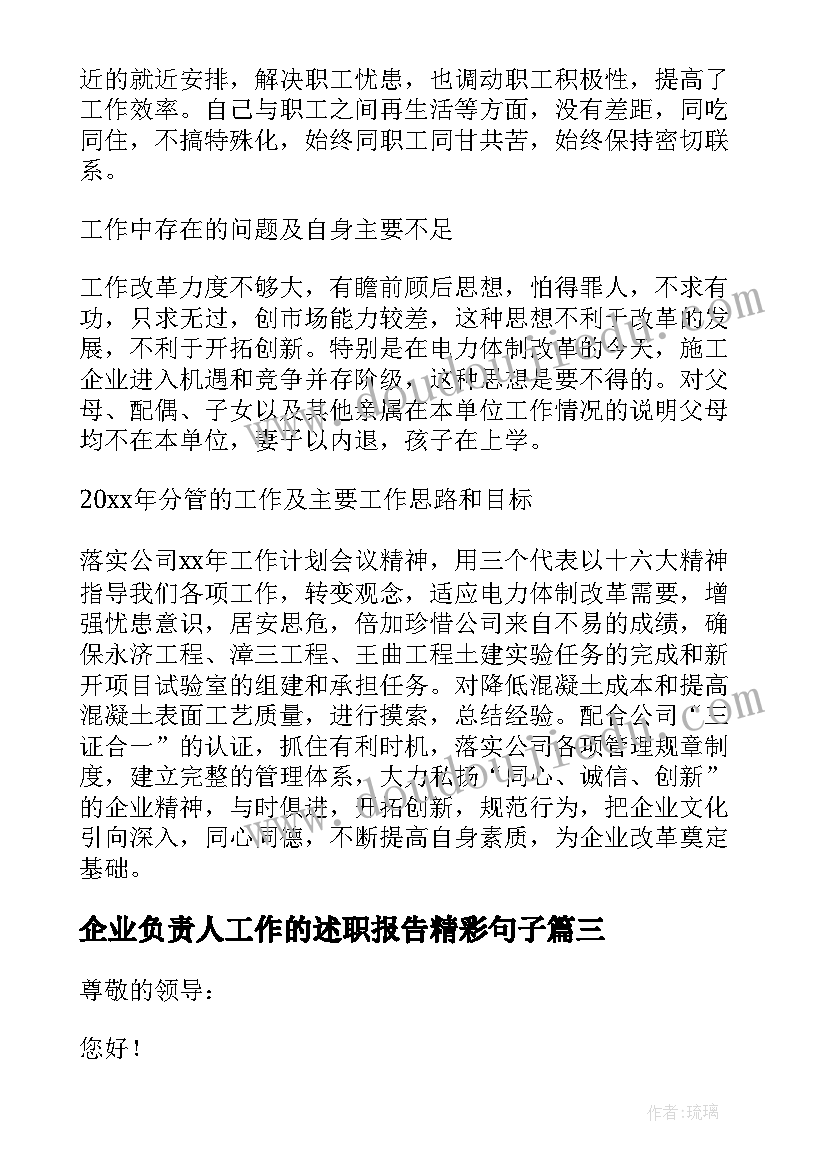 最新企业负责人工作的述职报告精彩句子 施工企业负责人工作的述职报告(通用8篇)