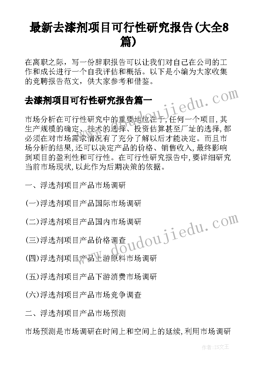 最新去漆剂项目可行性研究报告(大全8篇)