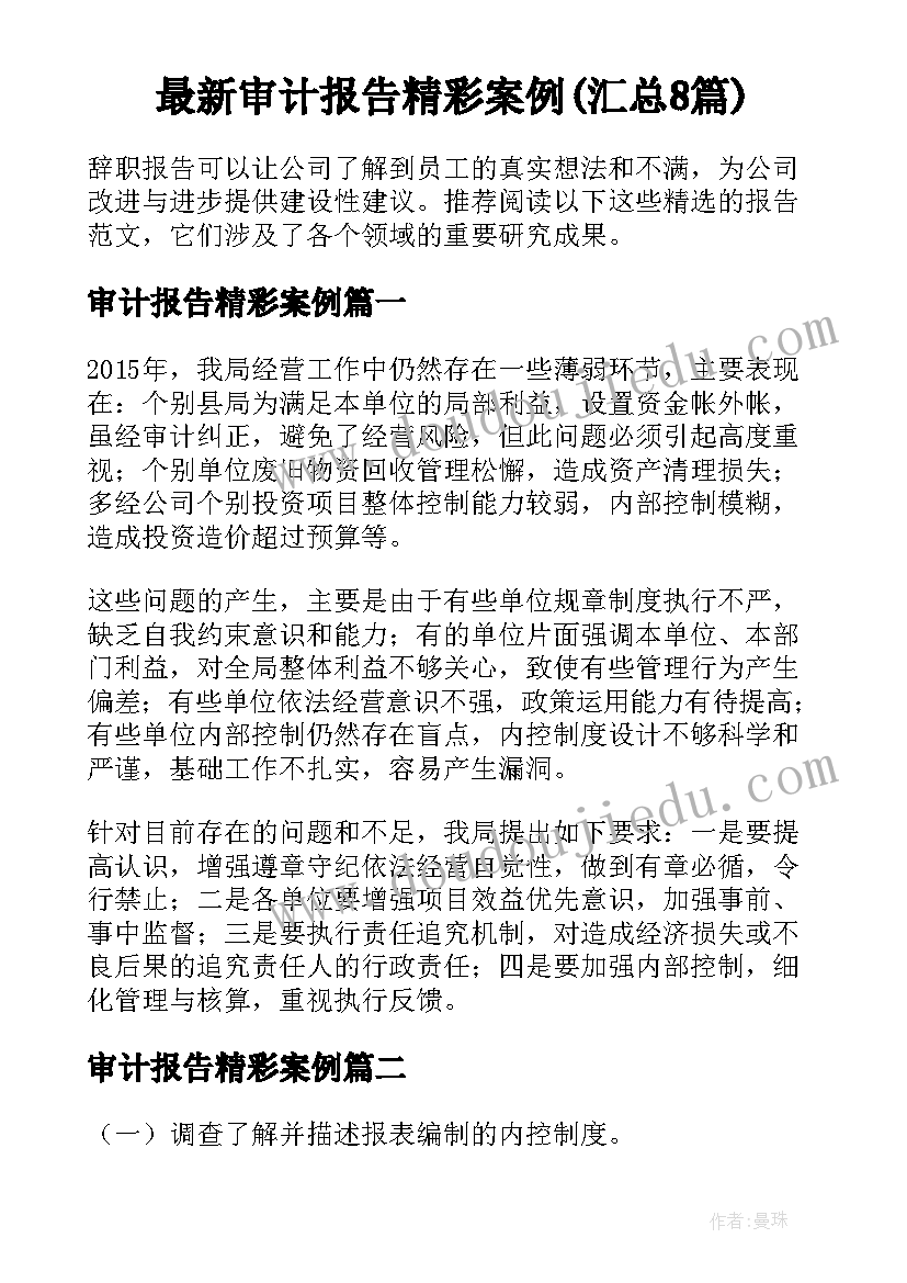 最新审计报告精彩案例(汇总8篇)