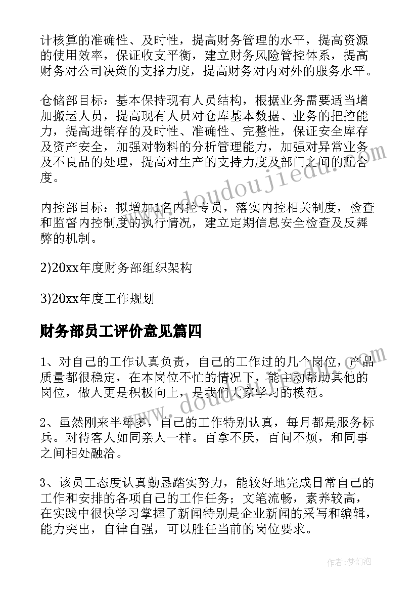 财务部员工评价意见 财务部职员工作总结(通用11篇)