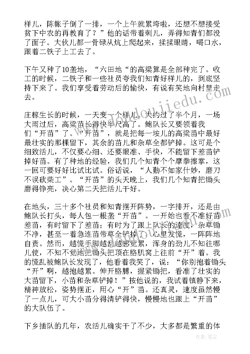 2023年乡村的日记(通用8篇)