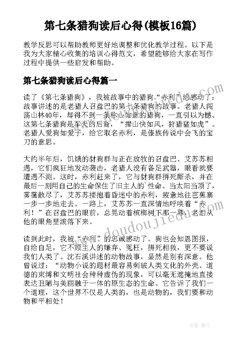 第七条猎狗读后心得(模板16篇)