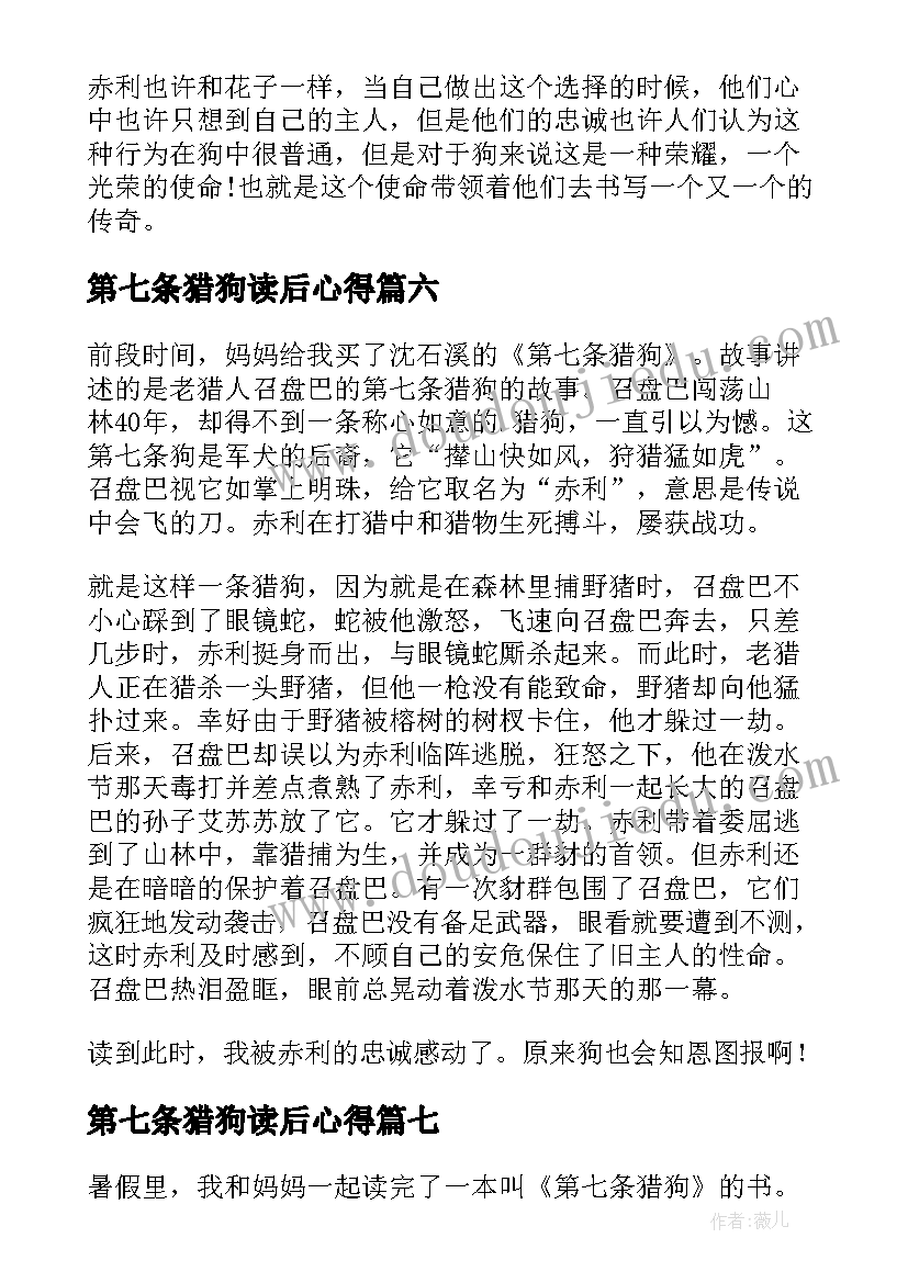 第七条猎狗读后心得(模板16篇)