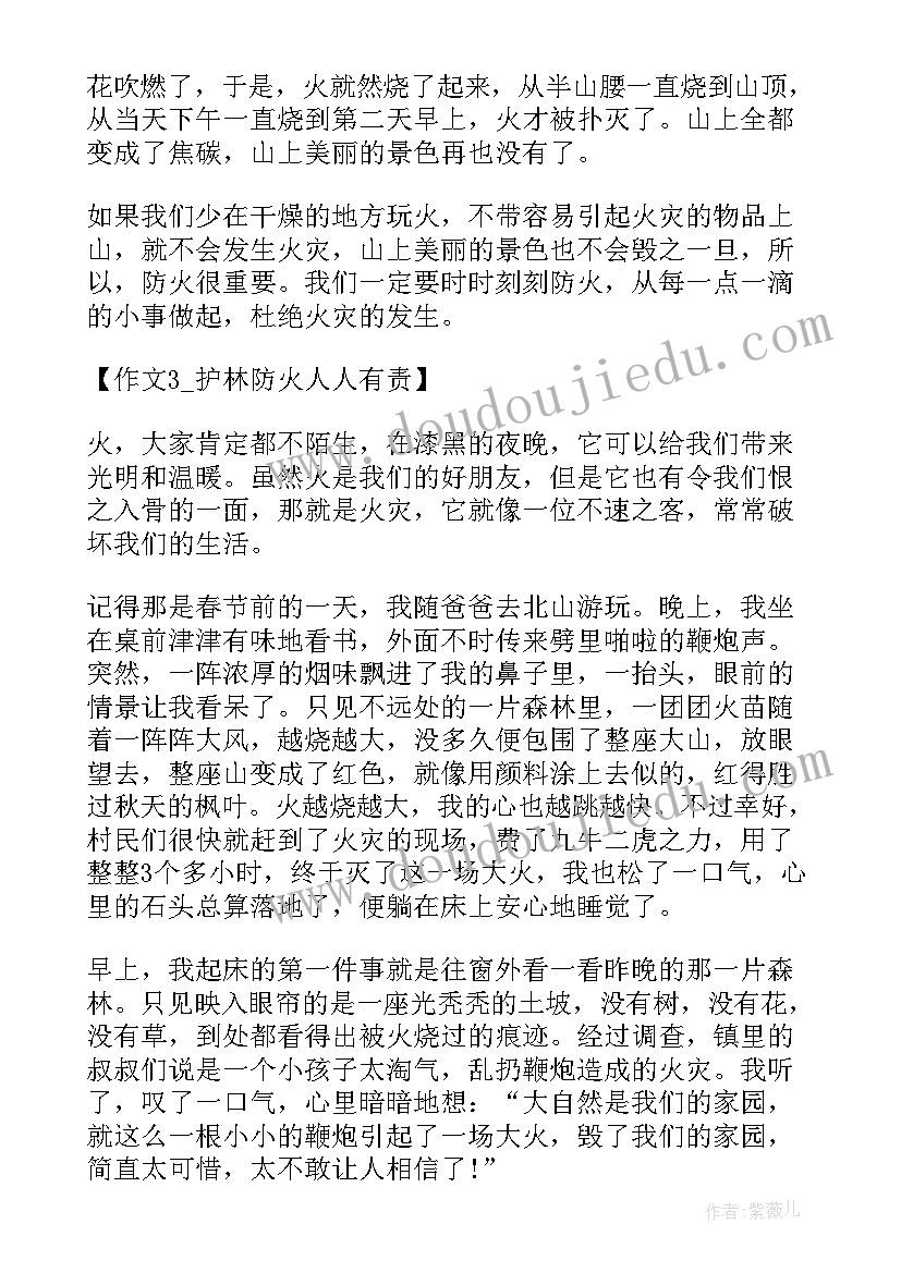 最新森林防火人人有责的手抄报画 森林防火人人有责班会教学设计(优秀8篇)