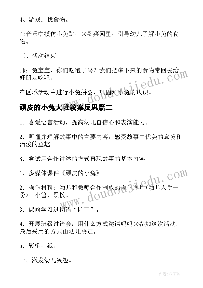 2023年顽皮的小兔大班教案反思(大全8篇)