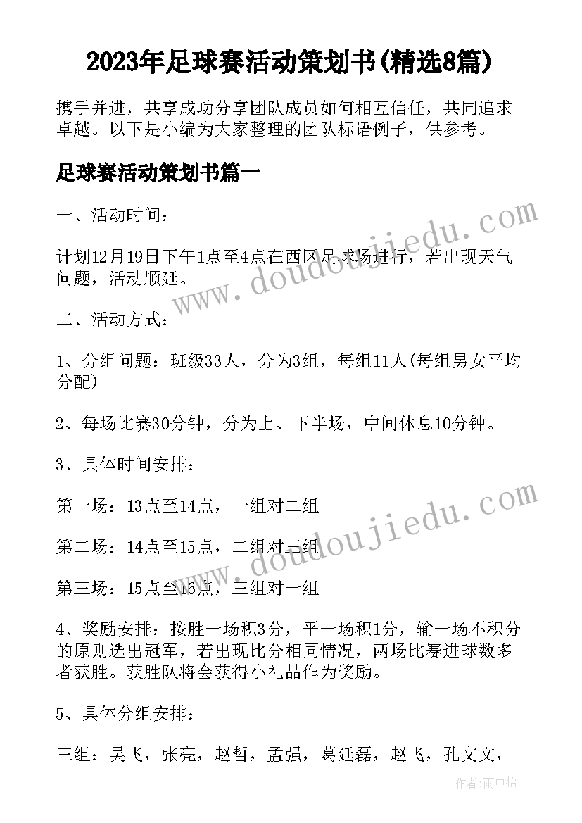 2023年足球赛活动策划书(精选8篇)