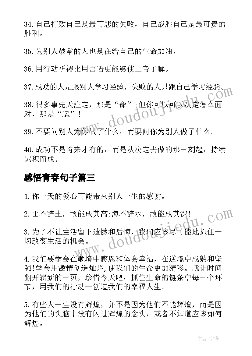 最新感悟青春句子 感悟青春哲理句子(通用15篇)