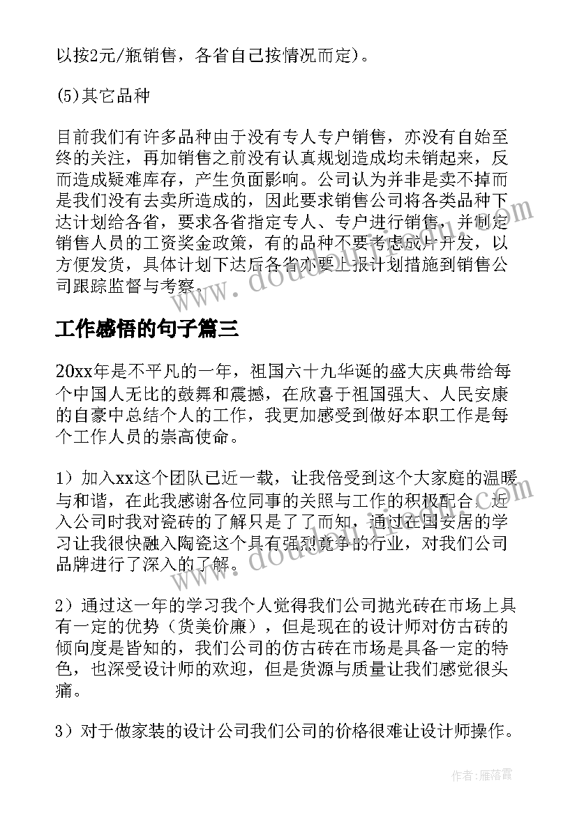 2023年工作感悟的句子 饮料销售工作总结感悟(大全8篇)