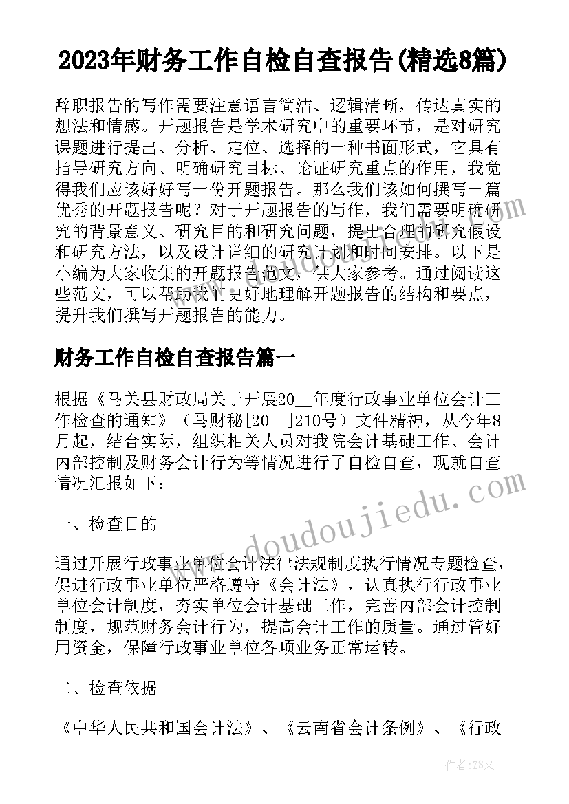 2023年财务工作自检自查报告(精选8篇)