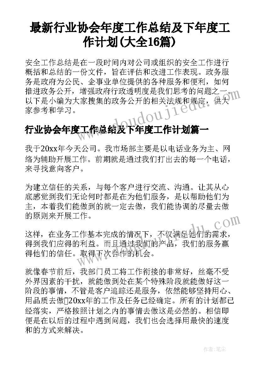 最新行业协会年度工作总结及下年度工作计划(大全16篇)