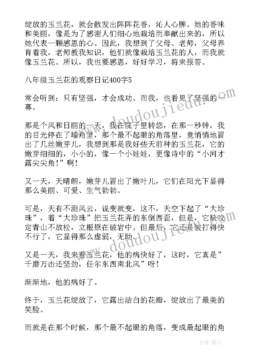 2023年玉兰树日记 观察玉兰花日记(模板8篇)