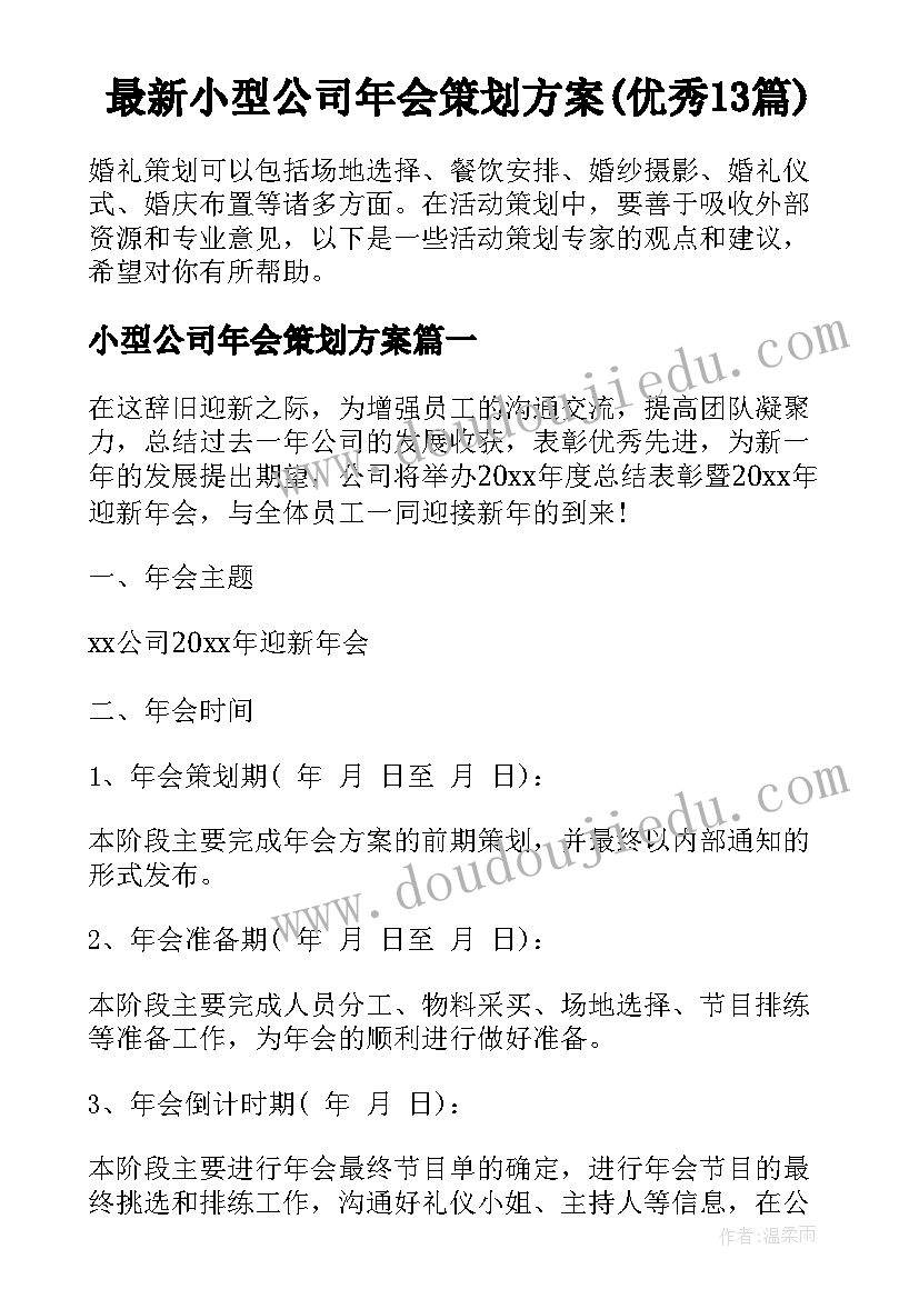 最新小型公司年会策划方案(优秀13篇)