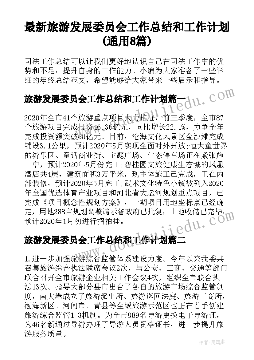 最新旅游发展委员会工作总结和工作计划(通用8篇)