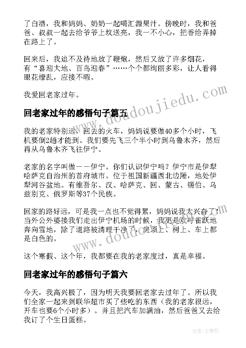 回老家过年的感悟句子(优秀8篇)