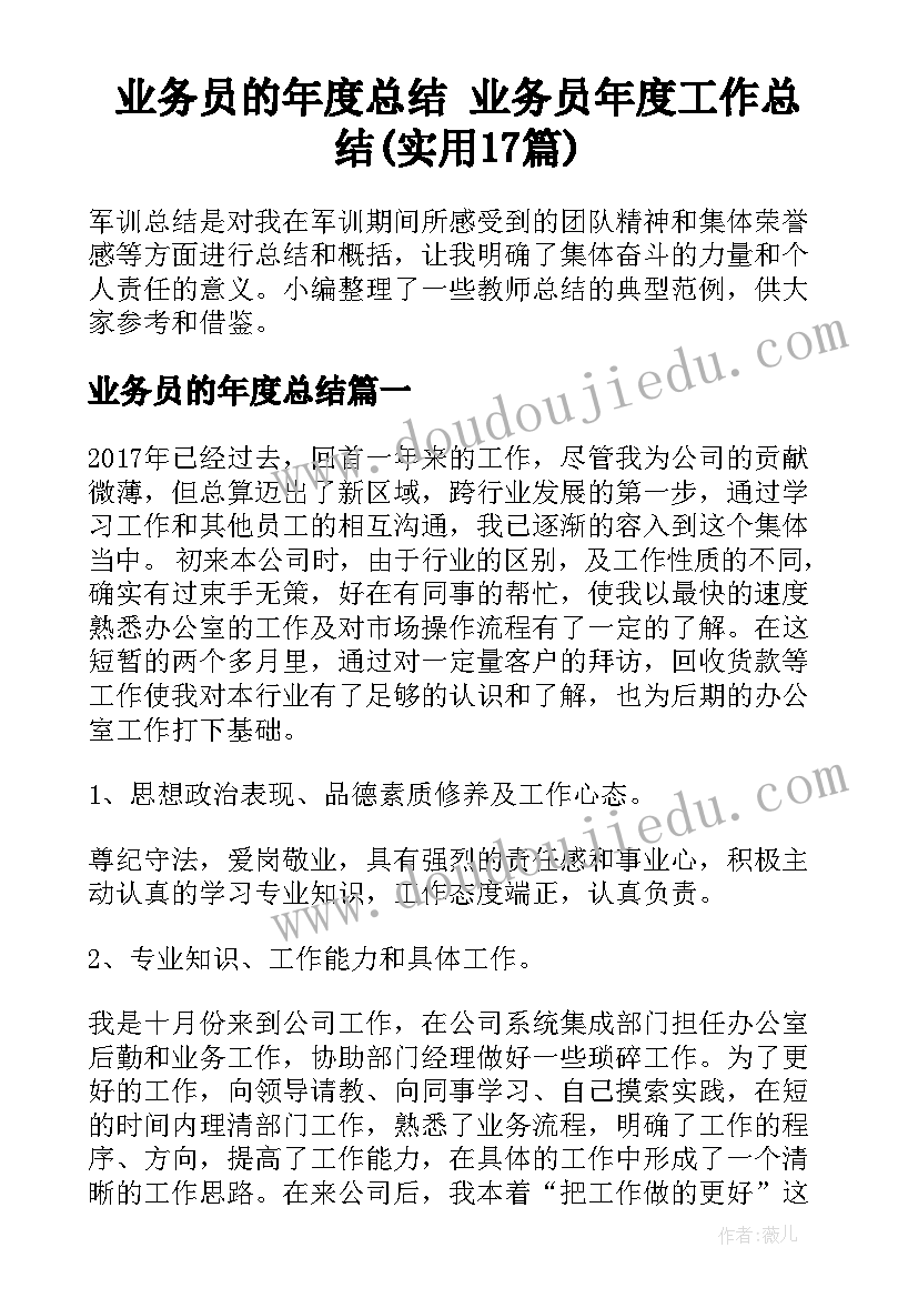 业务员的年度总结 业务员年度工作总结(实用17篇)