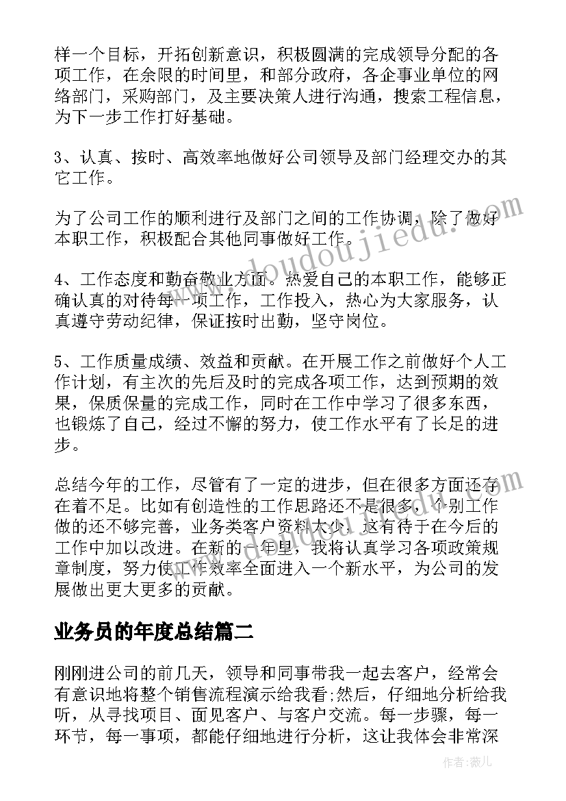 业务员的年度总结 业务员年度工作总结(实用17篇)