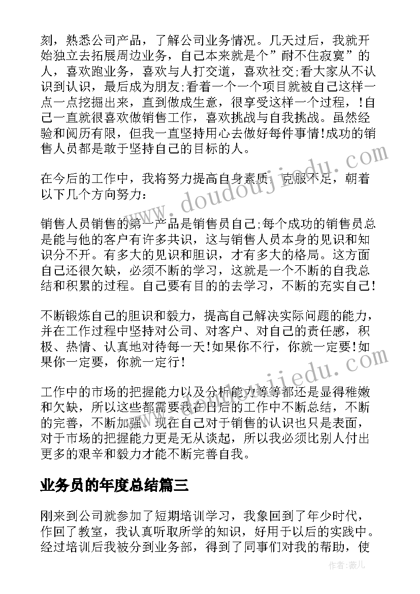 业务员的年度总结 业务员年度工作总结(实用17篇)