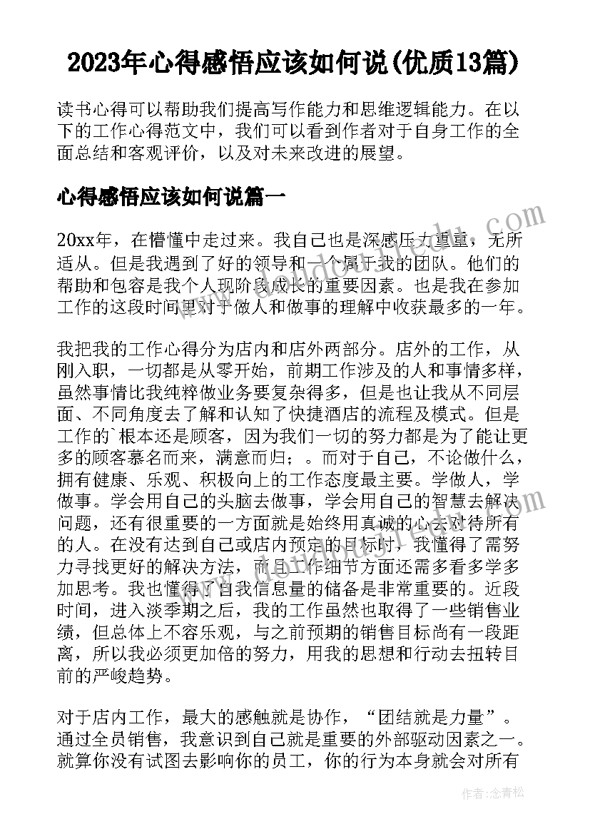 2023年心得感悟应该如何说(优质13篇)