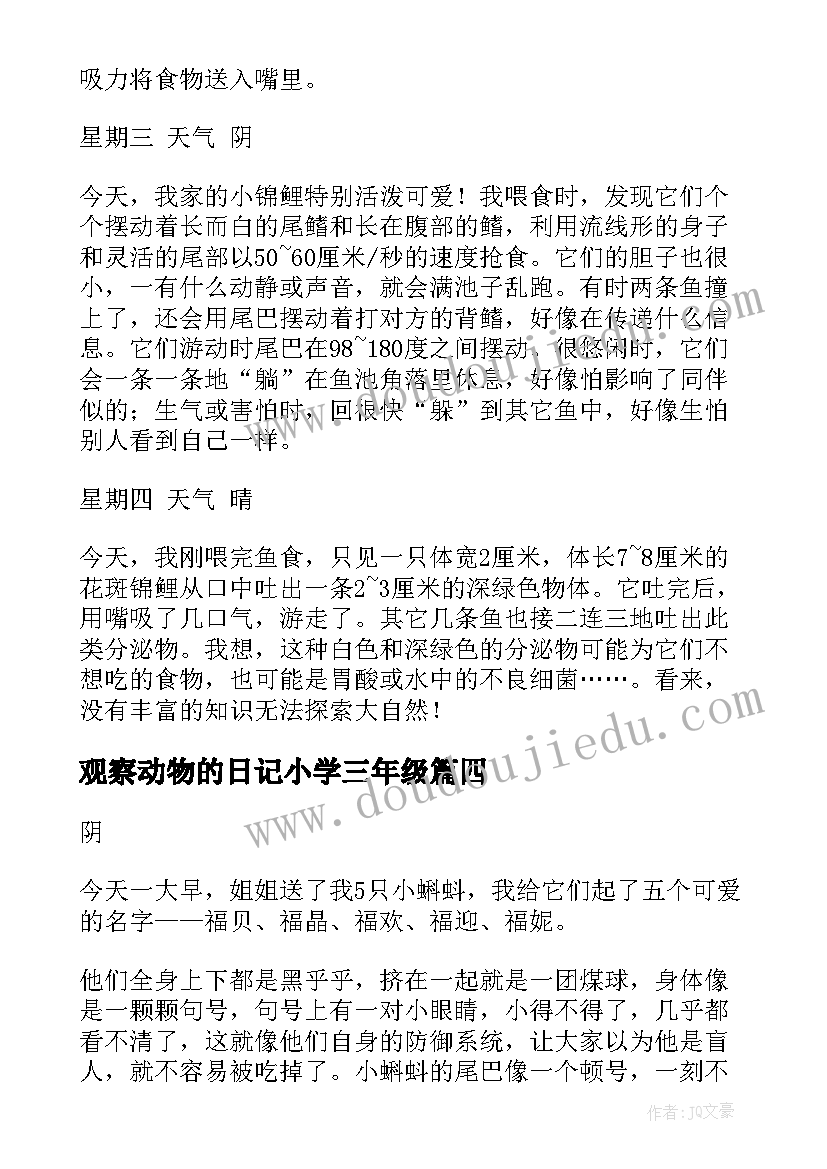 2023年观察动物的日记小学三年级 小学动物观察日记(优秀17篇)