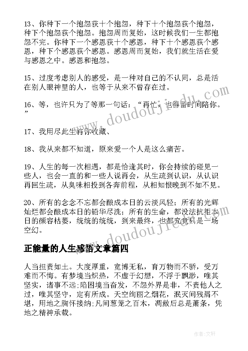 最新正能量的人生感悟文章 人生感悟正能量的说说(模板16篇)