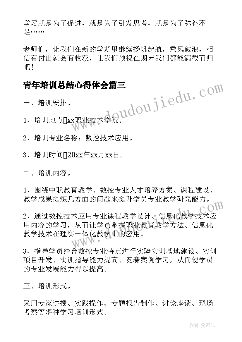 最新青年培训总结心得体会 青年教师培训总结(汇总11篇)