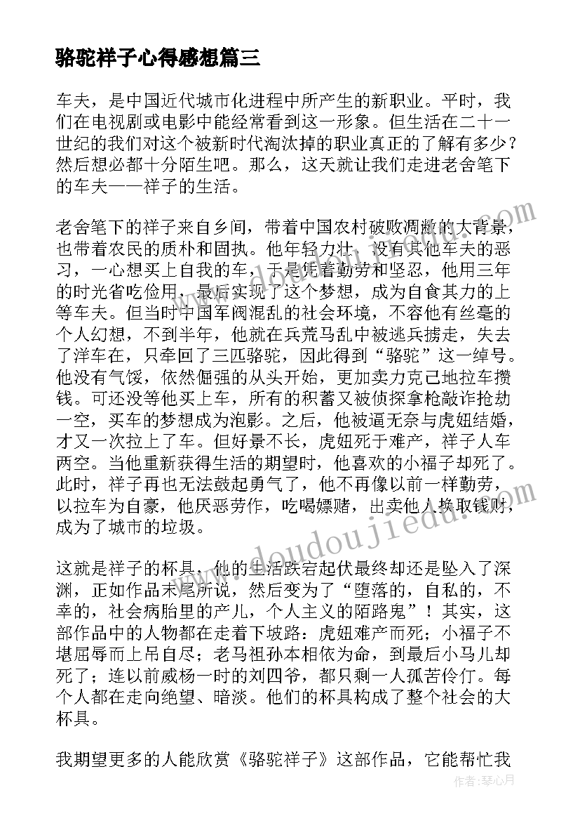 2023年骆驼祥子心得感想(汇总15篇)