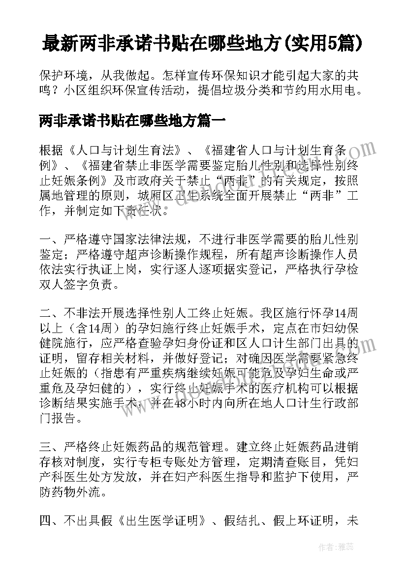 最新两非承诺书贴在哪些地方(实用5篇)