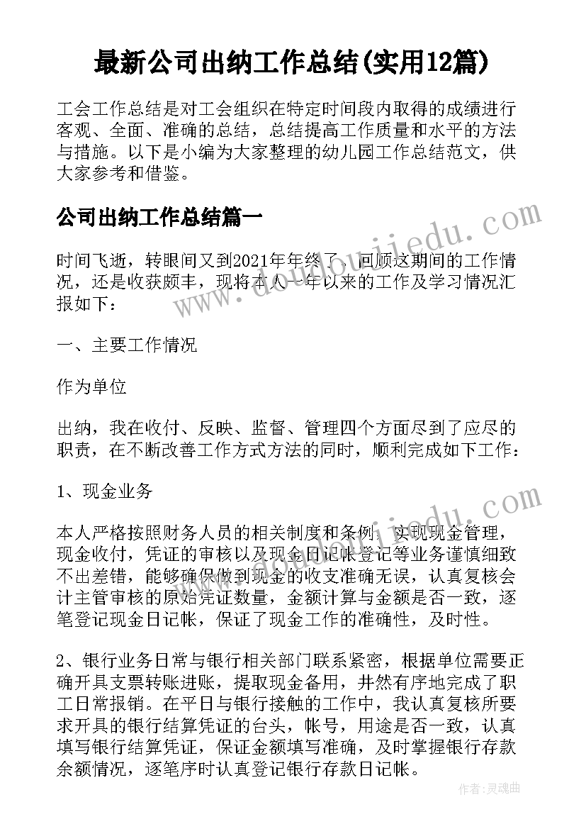 最新公司出纳工作总结(实用12篇)