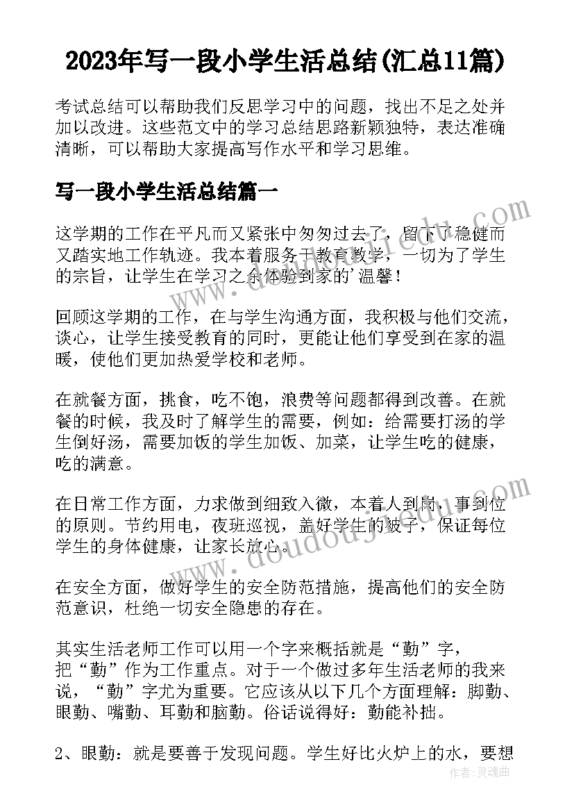 2023年写一段小学生活总结(汇总11篇)