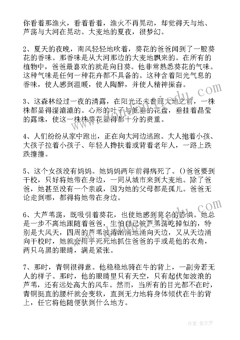 2023年青铜葵花好词好句摘抄(优质8篇)