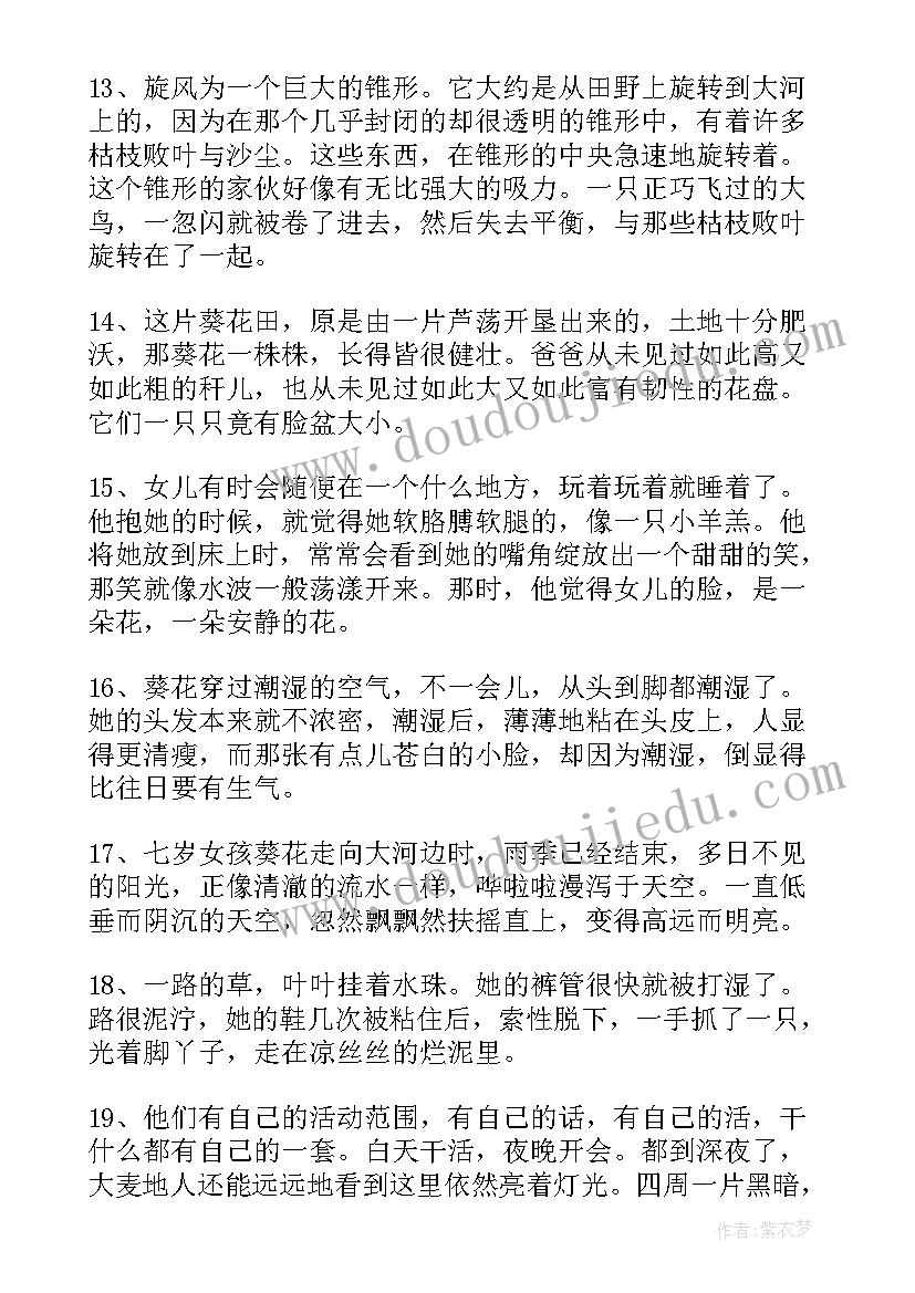 2023年青铜葵花好词好句摘抄(优质8篇)