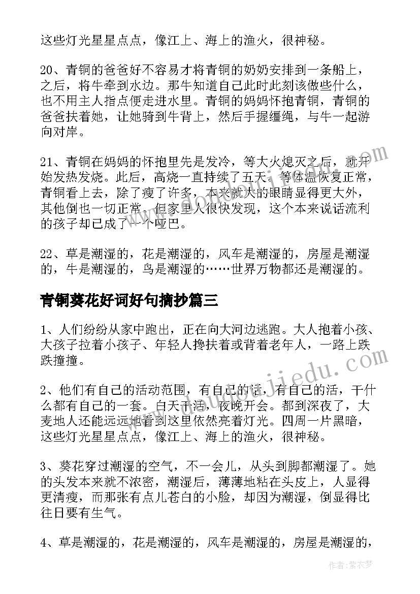 2023年青铜葵花好词好句摘抄(优质8篇)