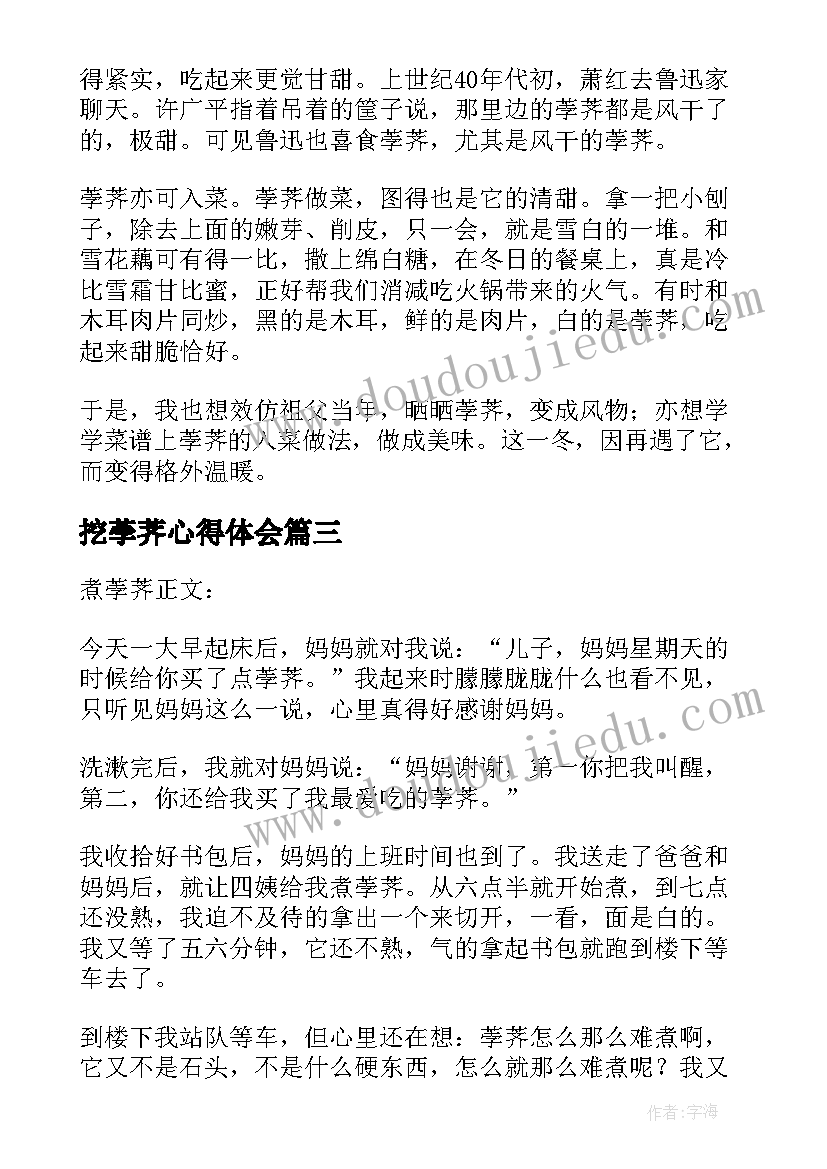 2023年挖荸荠心得体会(实用8篇)