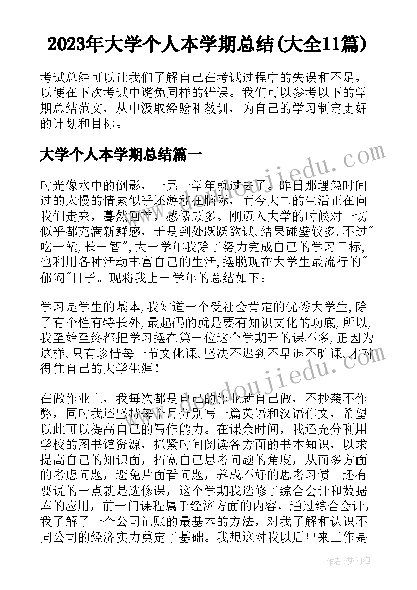 2023年大学个人本学期总结(大全11篇)