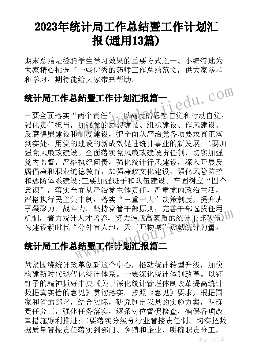 2023年统计局工作总结暨工作计划汇报(通用13篇)