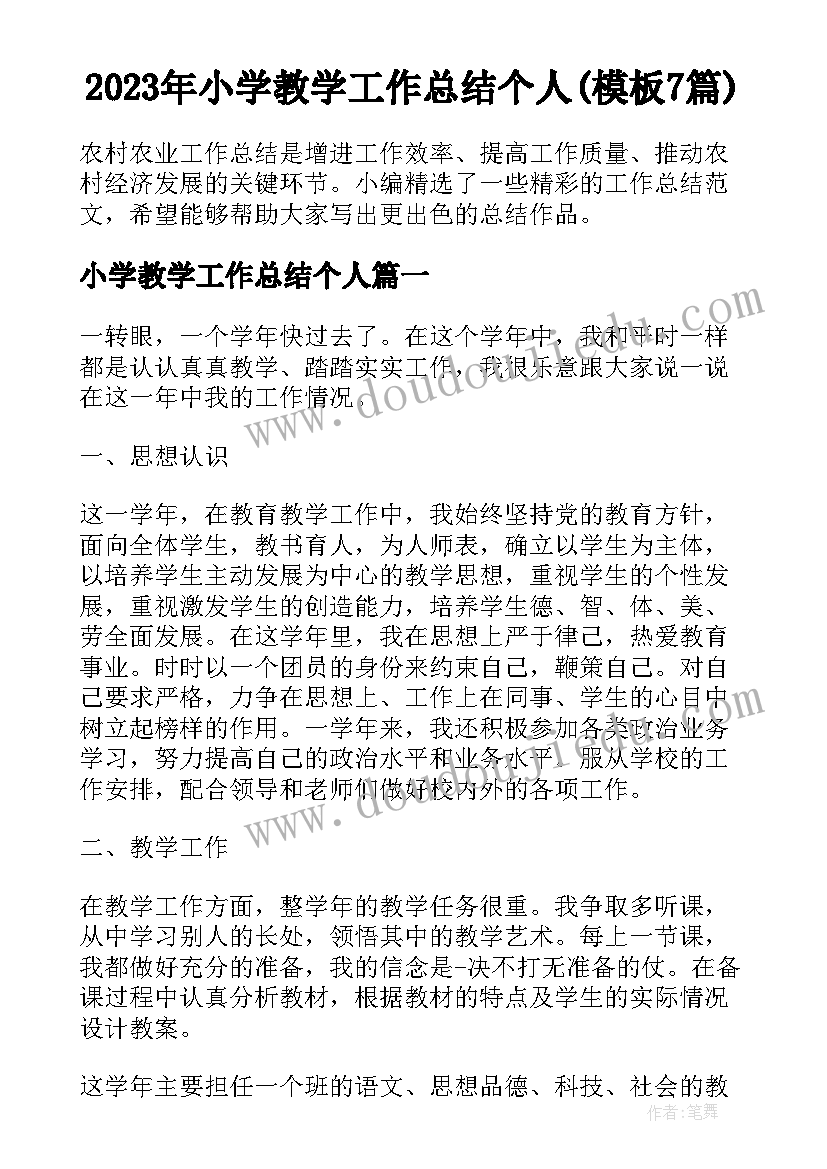 2023年小学教学工作总结个人(模板7篇)