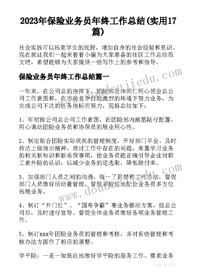 2023年保险业务员年终工作总结(实用17篇)