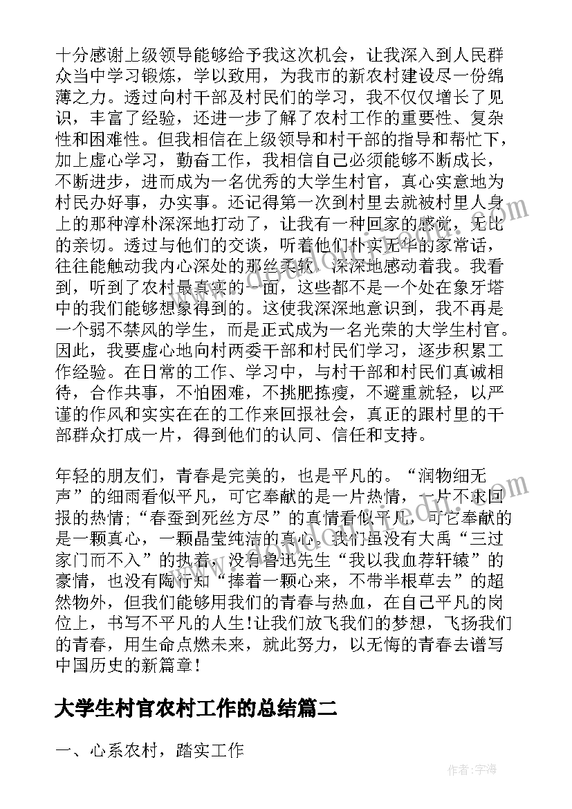 2023年大学生村官农村工作的总结(优秀13篇)