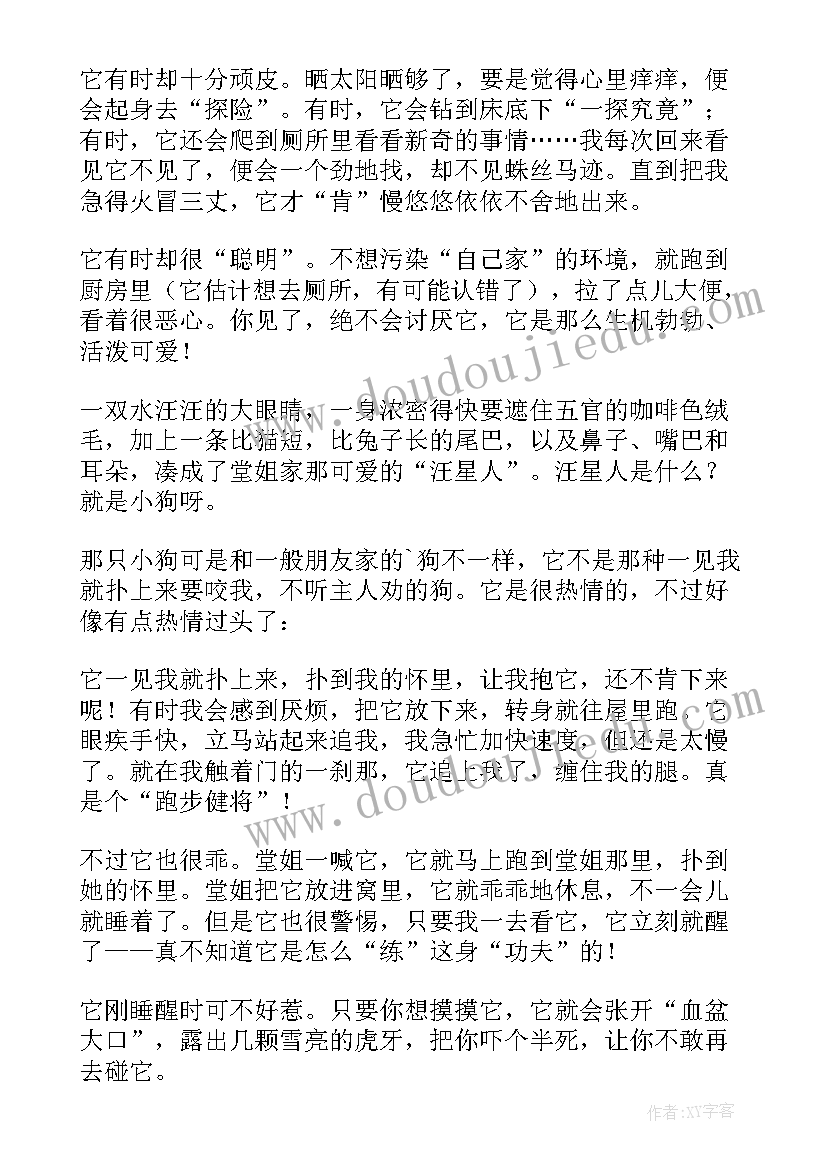 2023年小学四年级写动物 小学四年级动物观察日记三则(模板14篇)