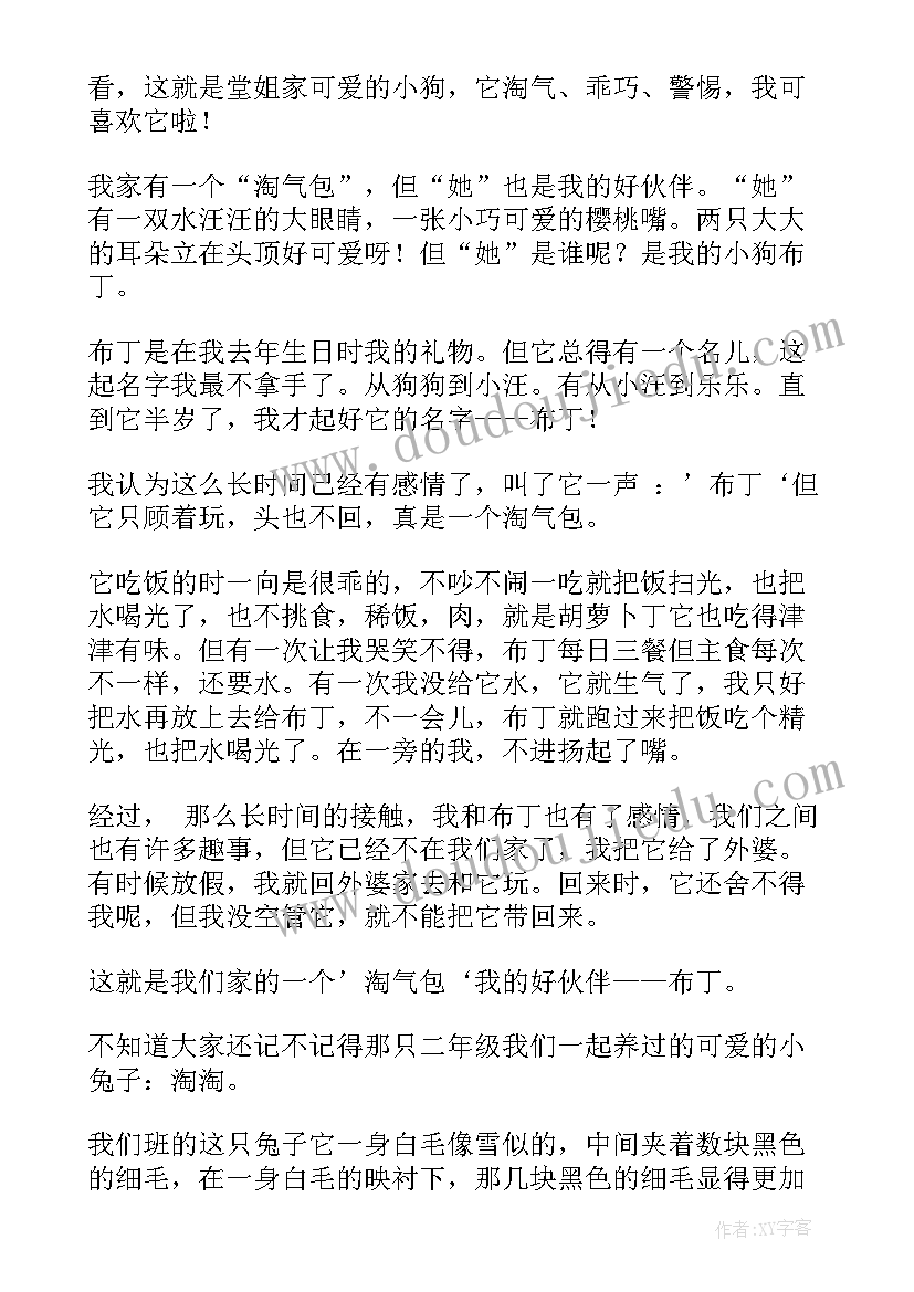 2023年小学四年级写动物 小学四年级动物观察日记三则(模板14篇)