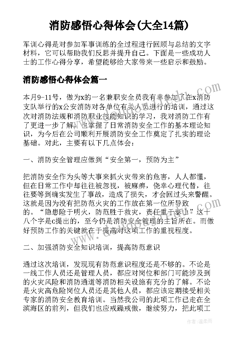 消防感悟心得体会(大全14篇)