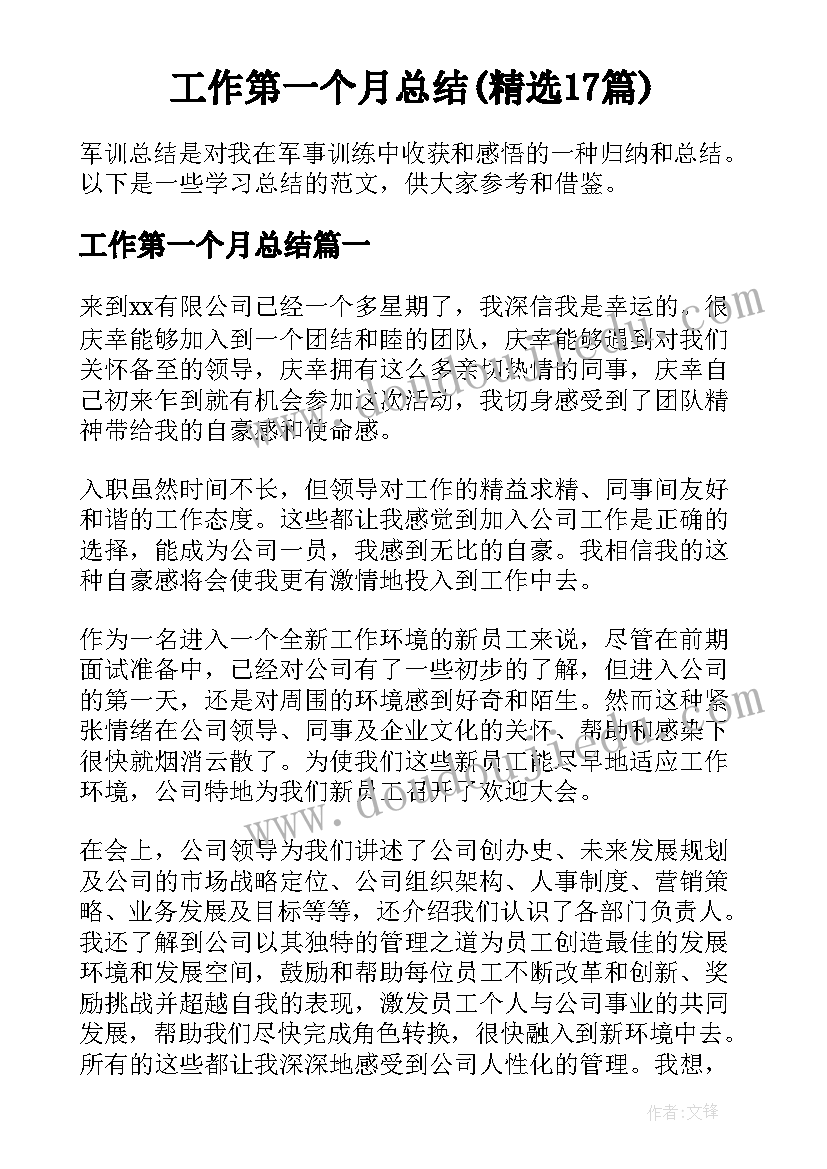 工作第一个月总结(精选17篇)