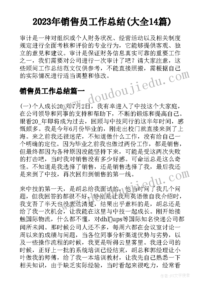 2023年销售员工作总结(大全14篇)