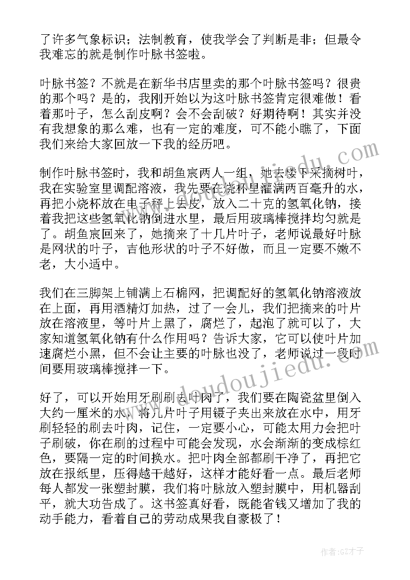 2023年医院暑期实践活动心得体会 暑假实践活动心得体会(汇总11篇)