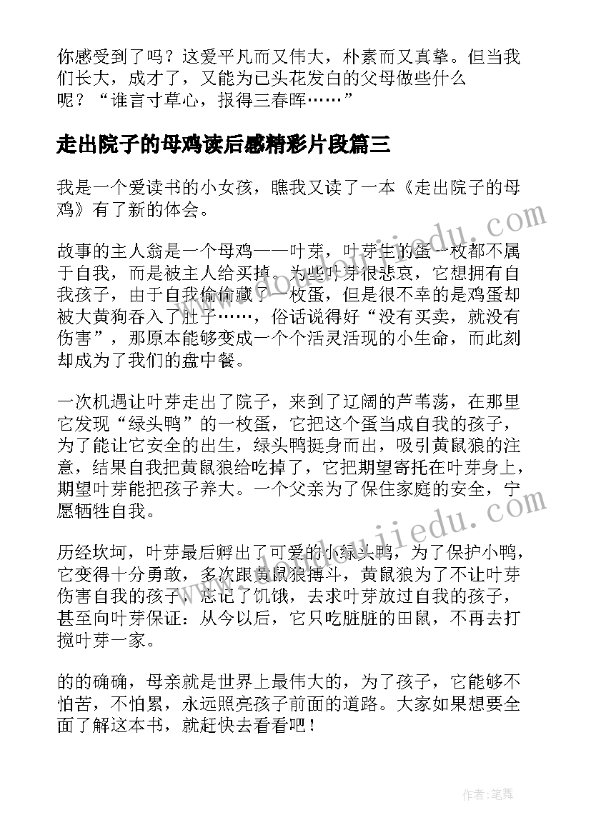 最新走出院子的母鸡读后感精彩片段 走出院子的母鸡读后感(大全10篇)